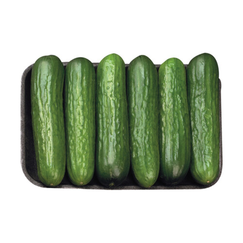 Mini Cucumbers Seedless 6 Pack