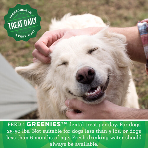Greenies Natural Dental Care Regular Adult Dog Treats Original 170 g