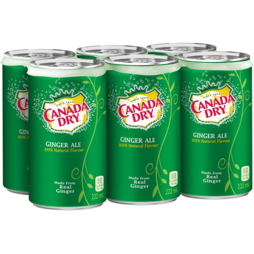 Canada Dry Soft Drink Ginger Ale 6 x 222 ml (cans)