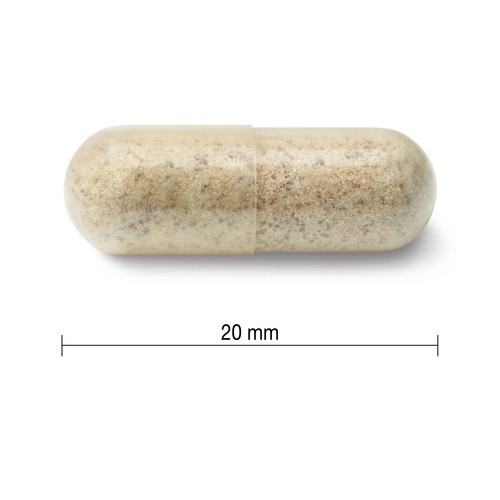 Jamieson Organic Echinacea Extra Strength Capsules 120 Count