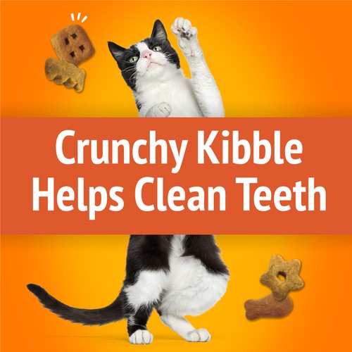 Friskies Cat Treats Party Mix Original Crunch With Real Chicken 510 g