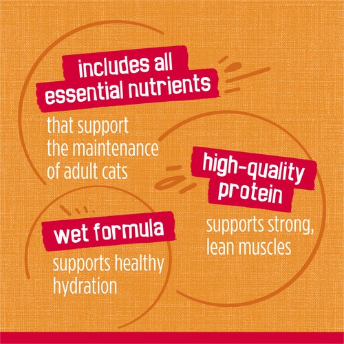 Purina Friskies Prime Filets Wet Cat Food Chicken In Gravy 156 g