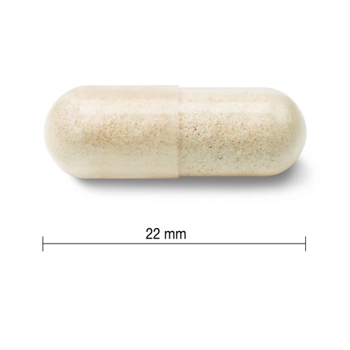 Jamieson Probiotic 60 Billion Ultra Strength Vegetarian Capsules 24 Count