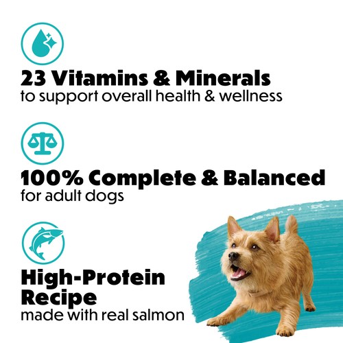 Beneful Incredibites Wet Dog Food Real Salmon In Gravy 85 g