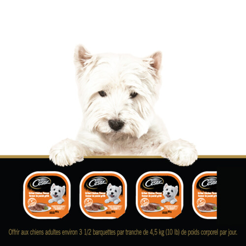 Cesar Wet Dog Food Classic Chicken Loaf In Sauce 100 g