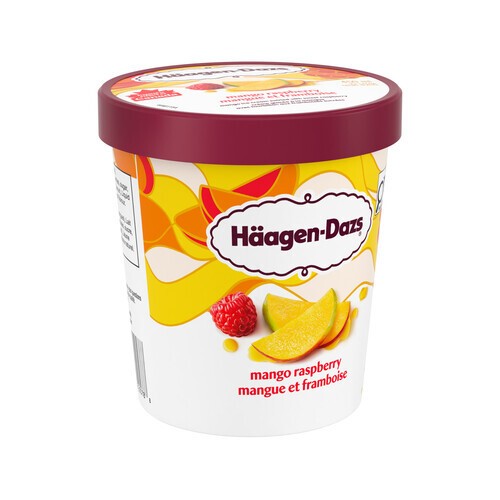 Haagen-Dazs Ice Cream Mango Raspberry 450 ml