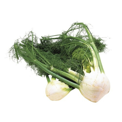 Anise Fennel 1 Count