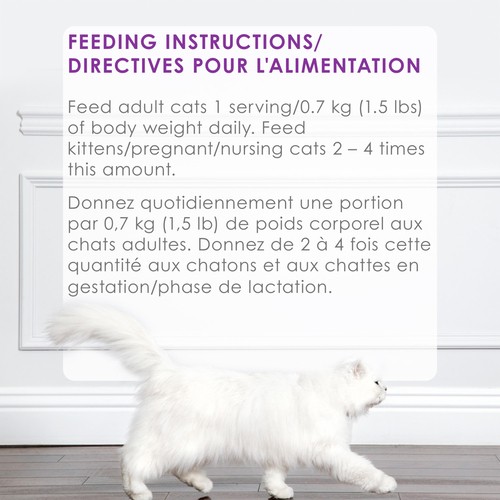 Fancy Feast Petites Wet Cat Food Tender Turkey Entrée Paté 79.4 g