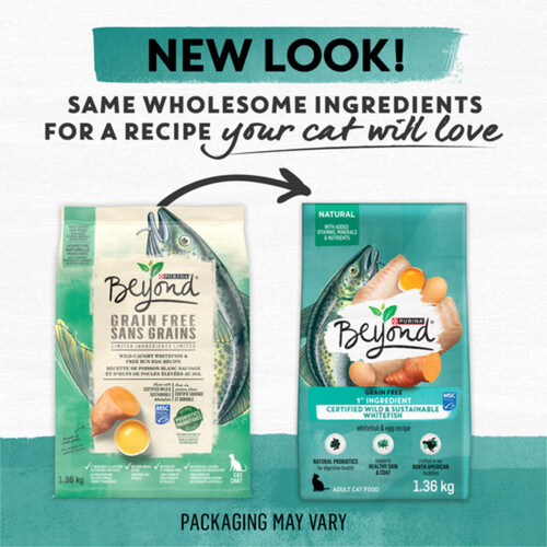 Beyond Grain-Free Dry Cat Food Wild-Caught Whitefish Free Run
