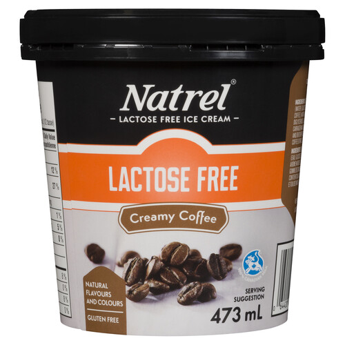 Natrel Lactose Free Ice Cream Creamy Coffee 473 mL