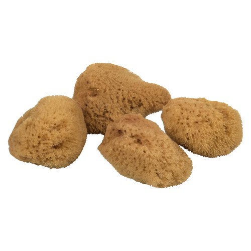 Urban Spa Facial Sea Sponges 