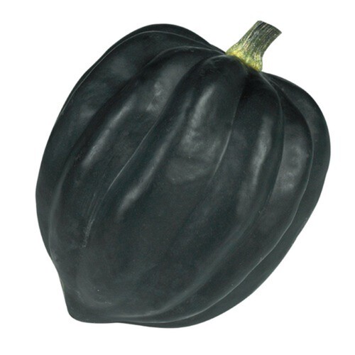 Organic Pepper Squash 1 EA