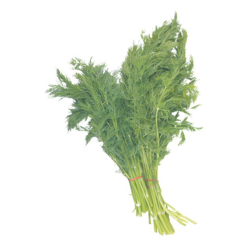 Dill 1 Bunch