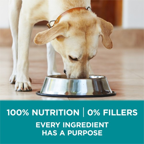 Purina ONE Dry Dog Food +Plus Large Breed Formula Chicken 7 kg