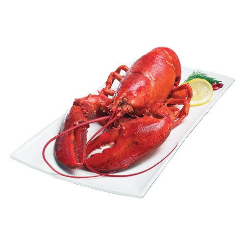 Lobster Frozen Cooked 1-1 1/4 lbs