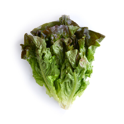 Red Leaf Lettuce 1 Count