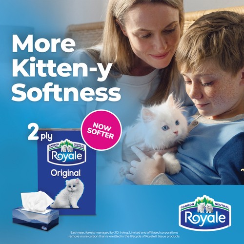 Royale Original Facial Tissue 2 Ply 6 Boxes x 126 Sheets