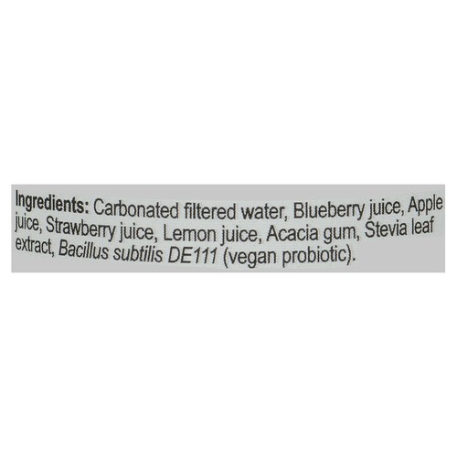 Loop Mission Soda Fresh Fruit Strawberry Blueberry 355 ml (can)