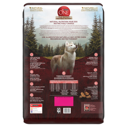 Purina ONE Dry Dog Food True Instinct Beef & Salmon 12.4 kg