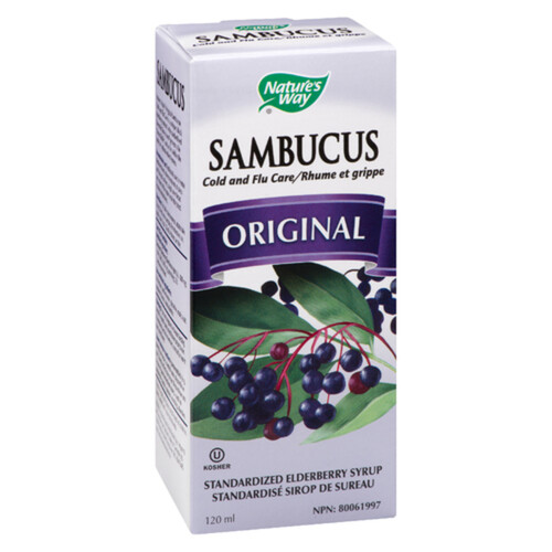 Nature's Way Sambucus Elderberry Syrup For Cold & Flu Original 120 ml