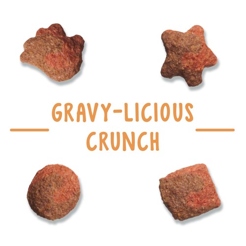 Friskies Party Mix Cat Treats Gravy-licious Crunch Turkey and Gravy 170 g