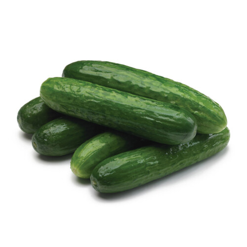 Golden Eden Non-GMO Pesticide Free Mini Cucumber 1 Count