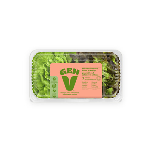 Gen V Salanova Lettuce Green & Red 2 Count