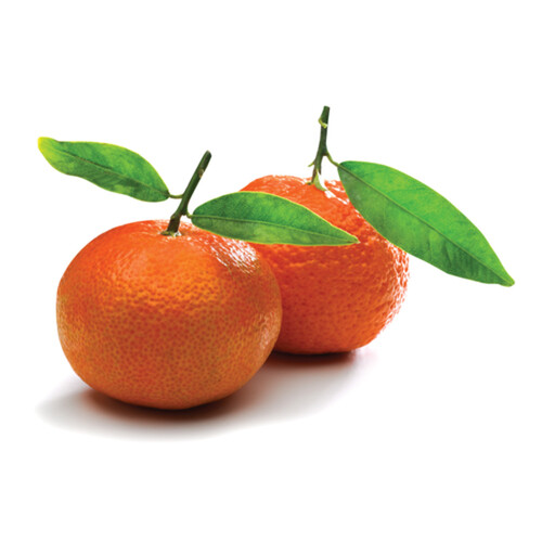 Clementine With Stem And Leaf