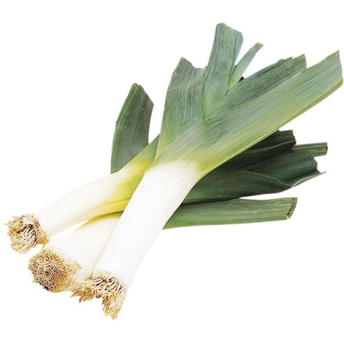 Organic Leeks 1 Count