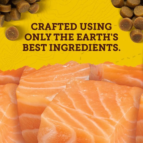 Zuke's Mini Naturals Dog Treats Tender Bites Salmon Recipe 170 g