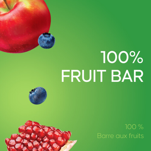SunRype Fruitsource 100% Fruit Bar Apple Blueberry Pomegranate 37 g