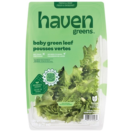 Haven Greens Baby Lettuce Green Leaf 226 g