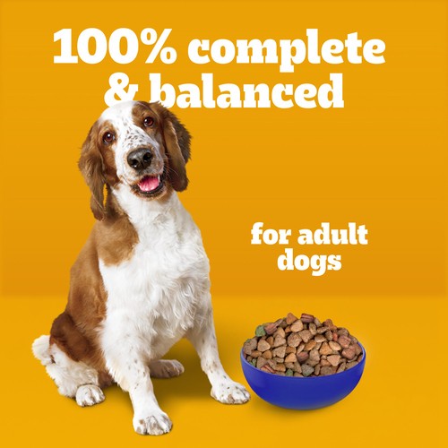 Pedigree Adult Dry Dog Food High Protein Chicken and Vegetable 7 kg
