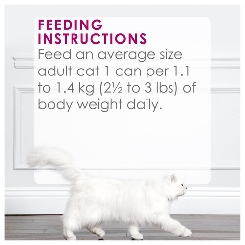 Fancy Feast Wet Cat Food Delights with Cheddar 85 g