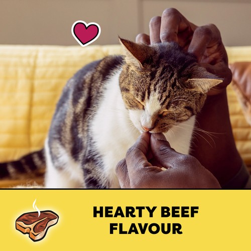 Temptations Adult Cat Treats Hearty Beef Flavour 180 g