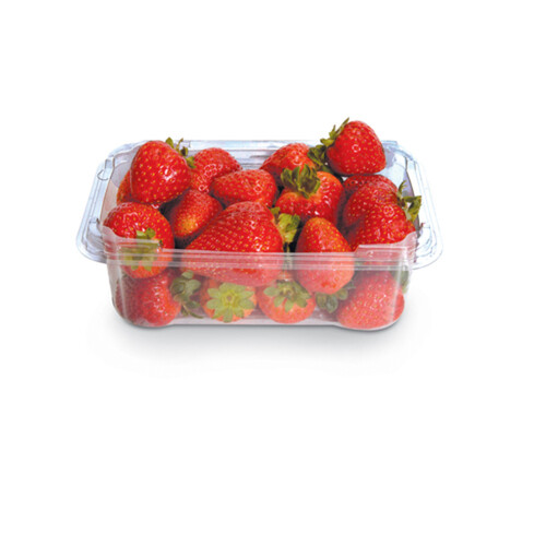 Organic Strawberry 283 g