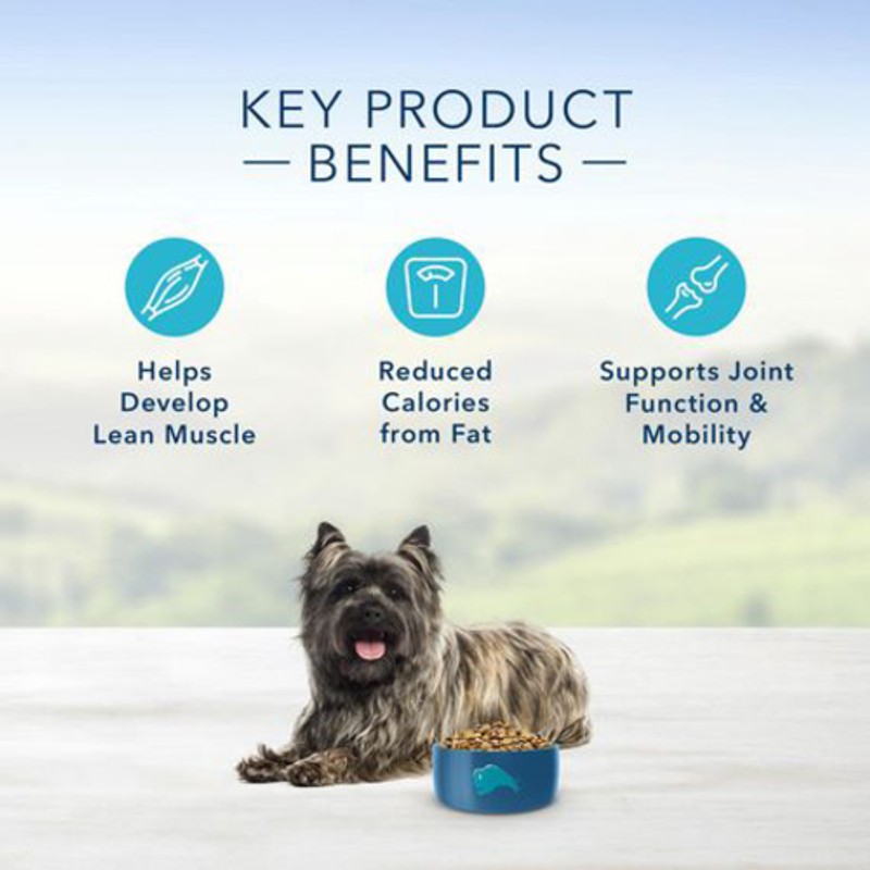 View of Blue Buffalo Dry Dog Food Small Breed Life Protection Formula Chicken ...