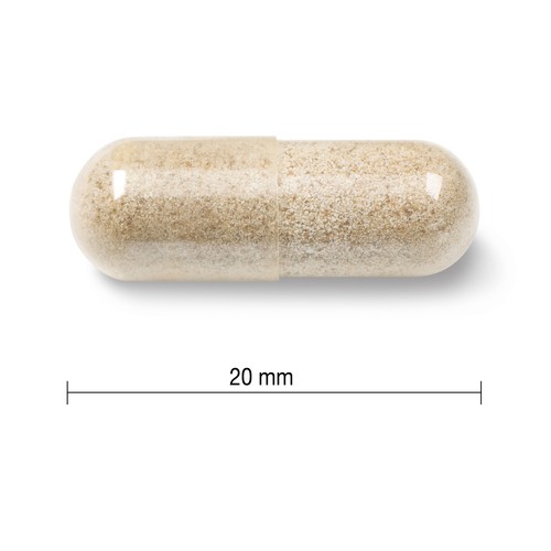 Jamieson Vitamins Gentle Iron Vegetarian Capsules 90 Count