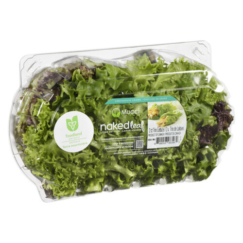 Naked Leaf Lettuce Trio Frisee 2 Pack