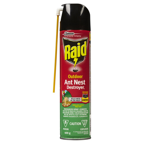 Raid Outdoor Ant Nest Destroyer Insect Killer Spray 400 g