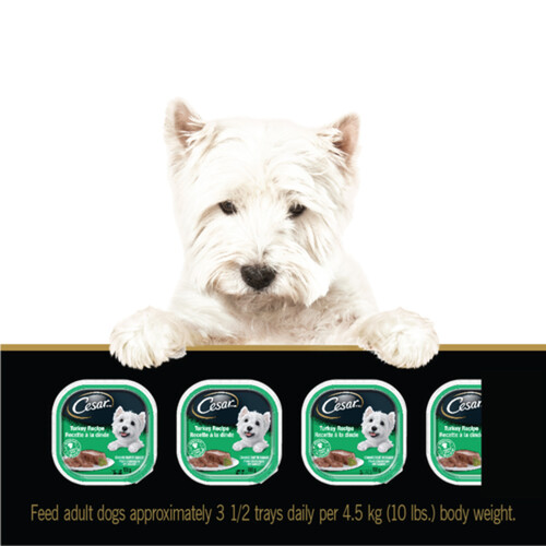 Cesar Adult Wet Dog Food Classic Loaf In Sauce Turkey 100 g