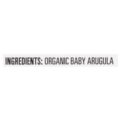 Compliments Organic Baby Arugula 142 g