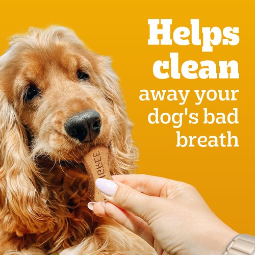 Pedigree Breathbuster Medium & Large Adult Dog Treats 500 g