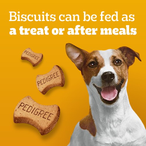 Pedigree Breathbuster Medium & Large Adult Dog Treats 500 g