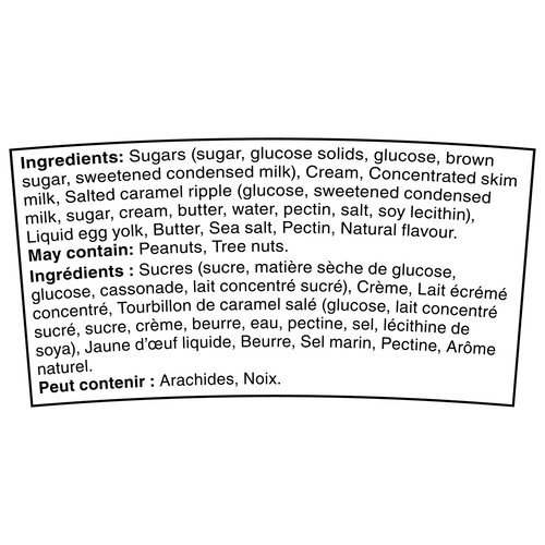 Haagen-Dazs Ice Cream Salted Caramel 450 ml