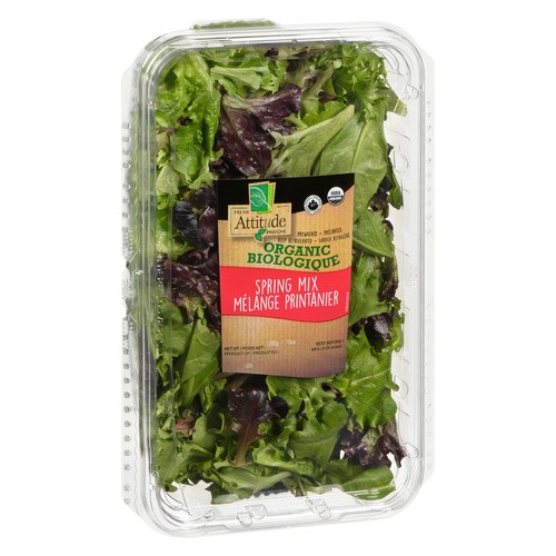 Fresh Attitude Organic Spring Mix 284 g