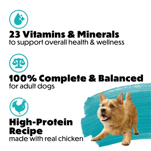 Beneful IncrediBites Wet Dog Food Real Chicken In Gravy 85 g
