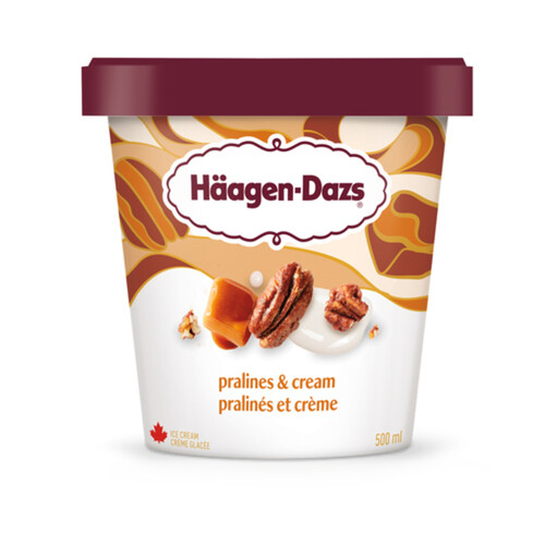 Haagen-Dazs Ice Cream Pralines & Cream 450 ml 