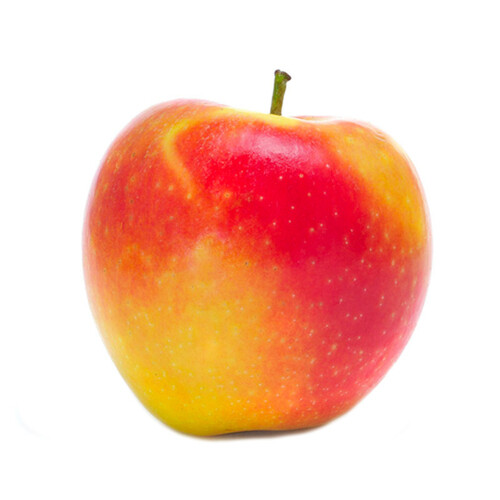 Ambrosia Apple 1 Count