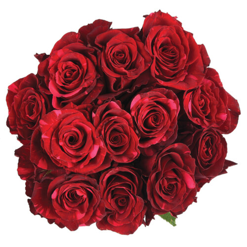 Rose Bouquet 1 Dozen 50 cm 